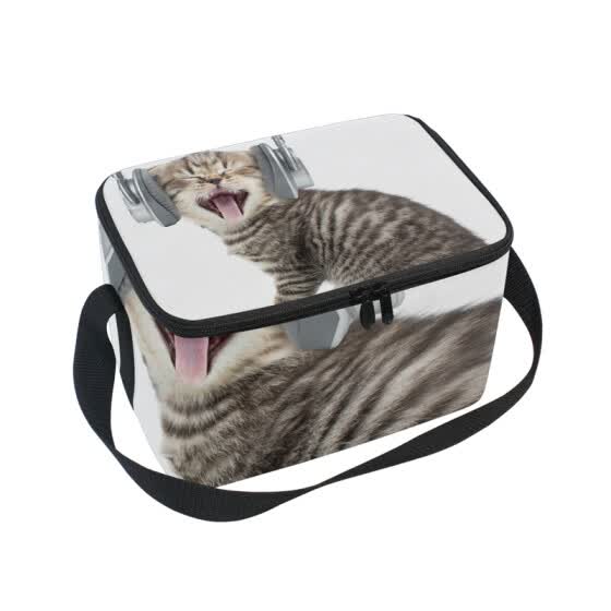 cat lunch boxes