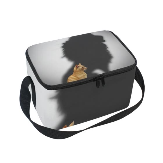 big insulated lunch box