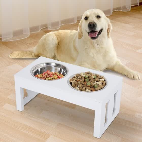 retriever feeding station
