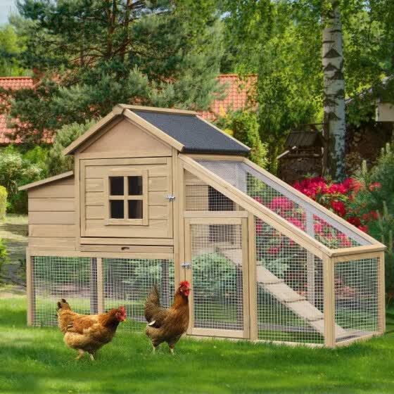 Shop Outdoor Wooden Raised Chicken Coop Hen House With Nesting Box