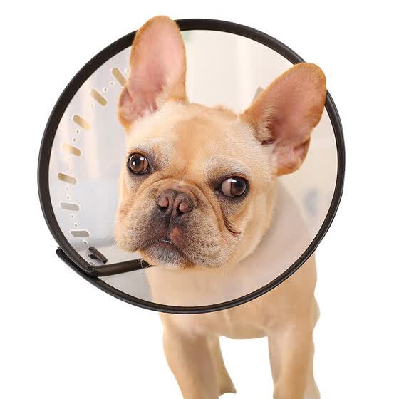 dog anti bite collar