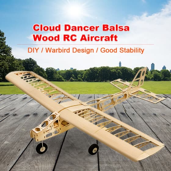 wooden rc plane