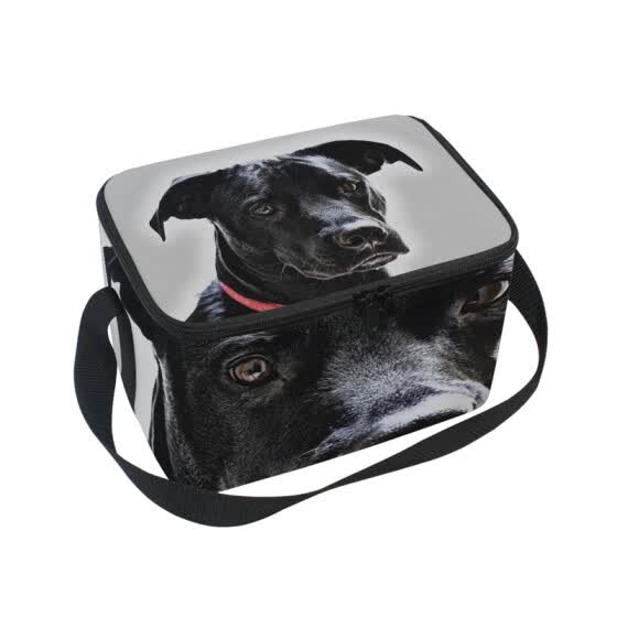 puppy dog lunch bag