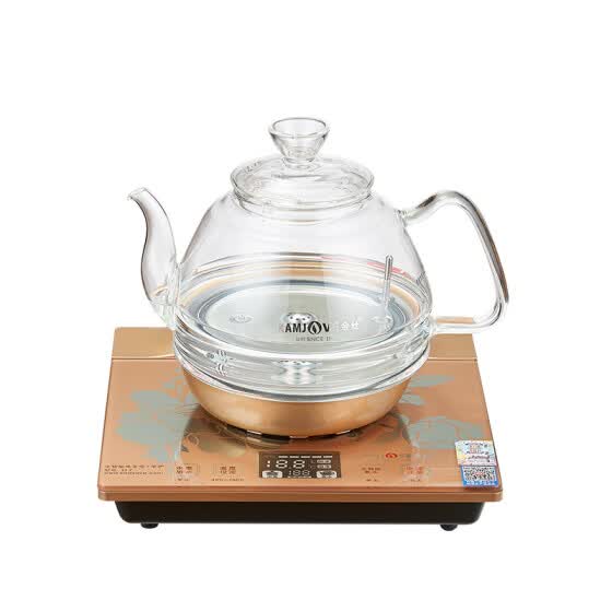 glass teapot electric