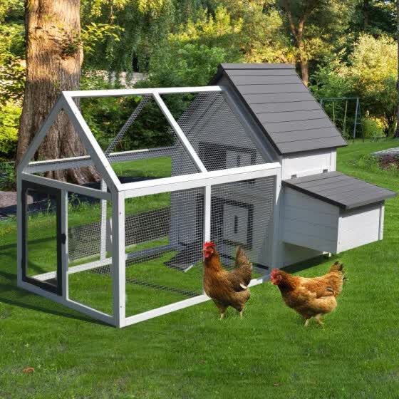 Shop 48 Wood Outdoor Chicken Coop House With Nesting Box Ramp Run