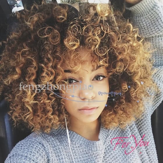 Shop Curly Wigs For Black Women Short Curly Wigs Afro Kinky Wig