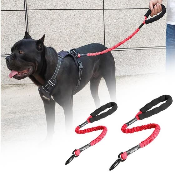 dog rope online shopping
