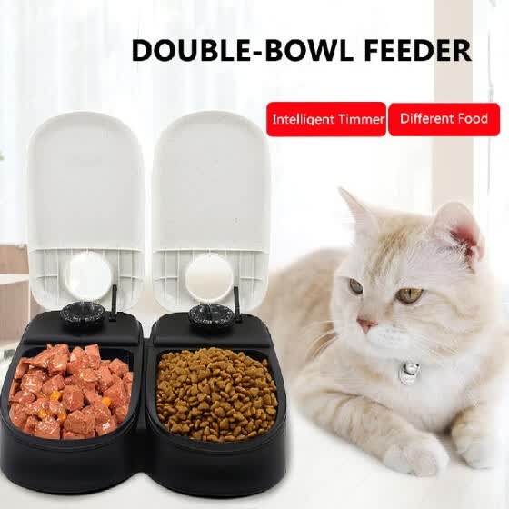 Shop Pawise Automatic Pet Feeder Timing Feeder Two Meals Double