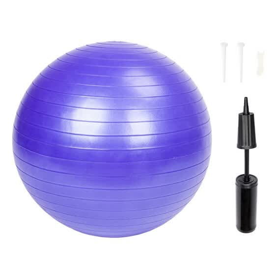 exercise ball shop