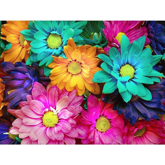 5D Full Drill Flower DIY Diamond Painting Embroidery Cross Crafts Stitch Decor
