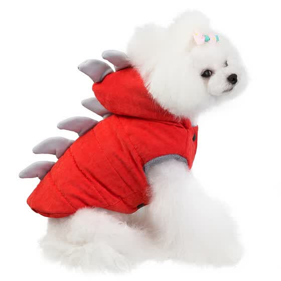 bichon frise clothes