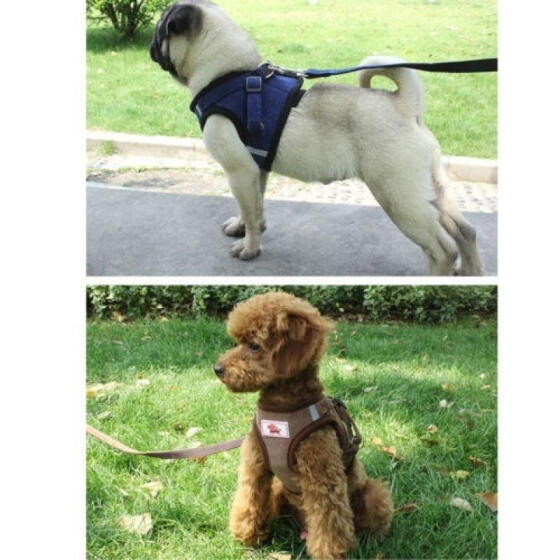Pet Control Harness for Dog Puppy Cat Soft Walk Collar Safety Strap Mesh Vest US