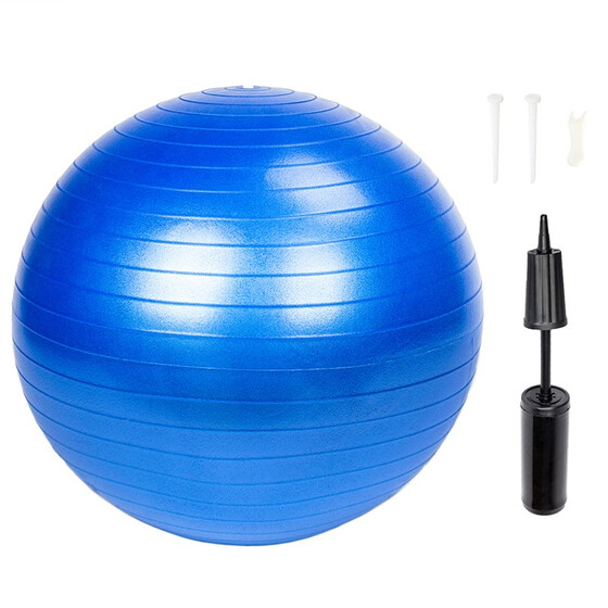 Yoga Ball Silver 65cm 25/" Fitness Exercise Gymnastic Pilates Balance w// Air Pump