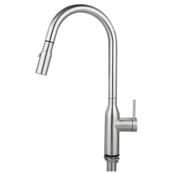 Shop Kitchen Sink Faucet Head 2 Function Pull Out Spray Head With