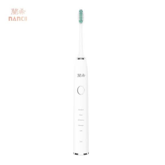 electric toothbrush recyclable heads