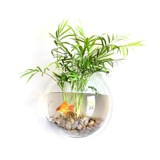Shop Home Decoration Wall Mount Fish Tanks Goldfish Bowl Acrylic