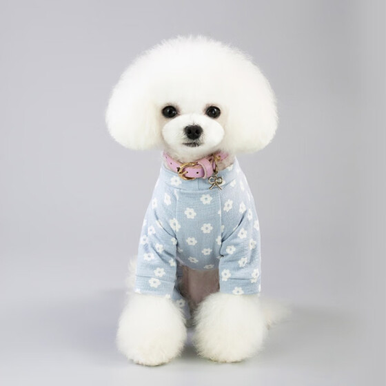 puppy clothes and accessories
