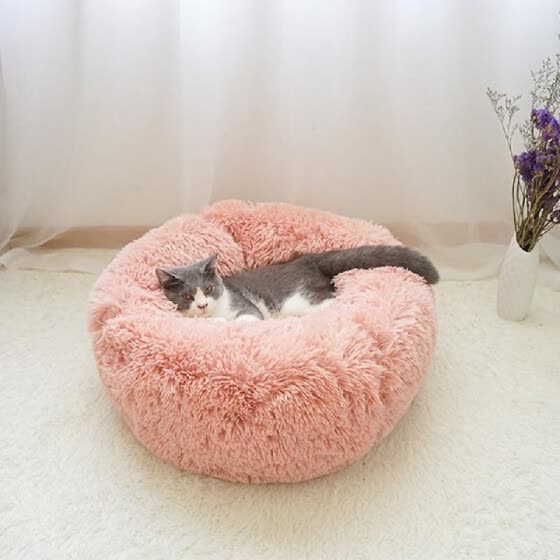 small cat bed