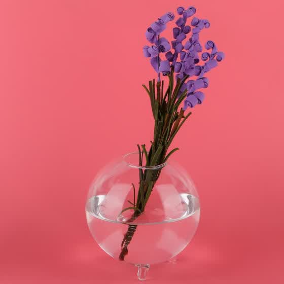 Shop Greensen Round Transparent Glass Vase Hydroponic Terrarium