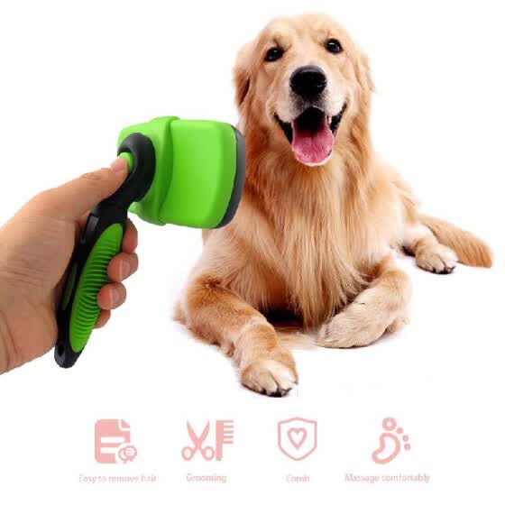 best pet grooming brush