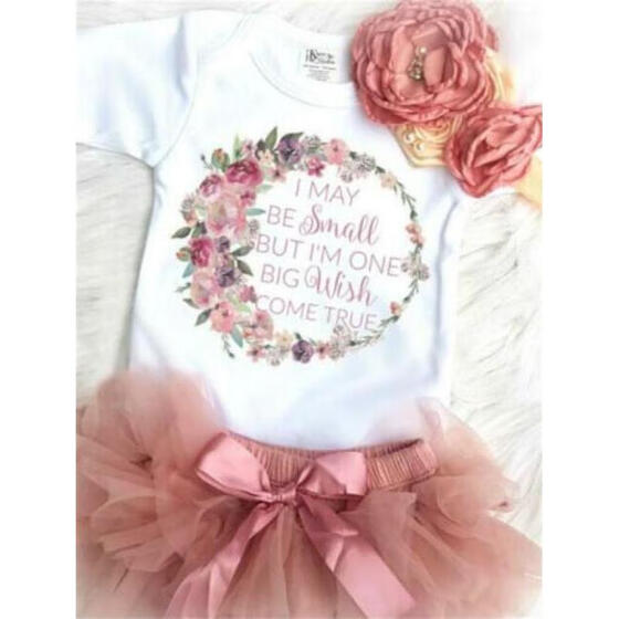 Newborn Kids Baby Girls Long Sleeve Flower Tulle Tutu Skirts Dresses Clothes Set