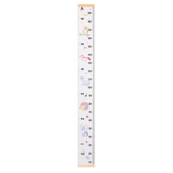 Ruler Child Growth Chart