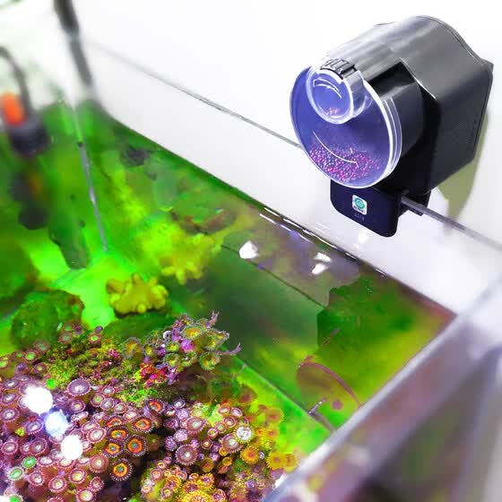 Shop Ktaxon New Resun Automatic Auto Fish Food Feeder Aquarium