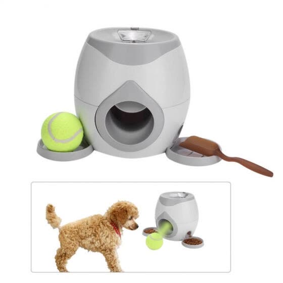 automatic throwing machine for dogs