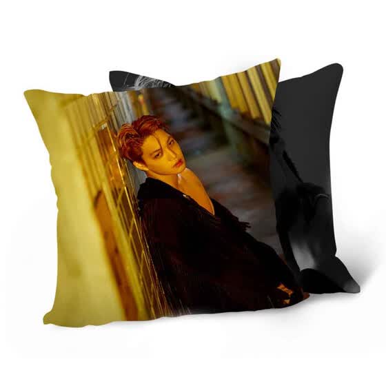 mini pillow case