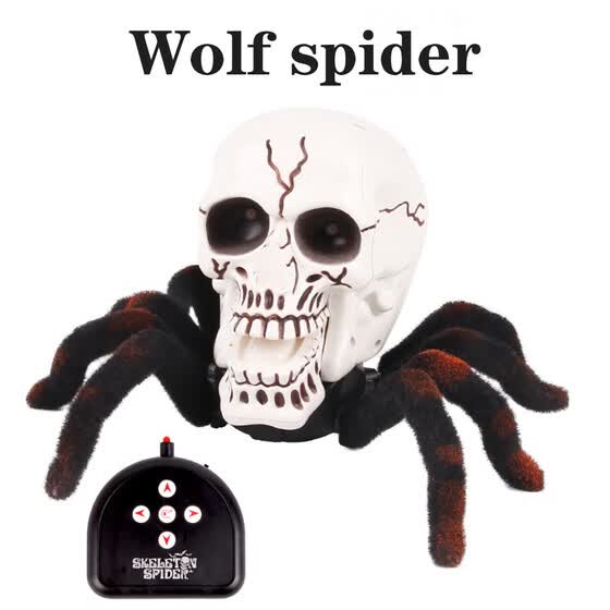 best remote control spider