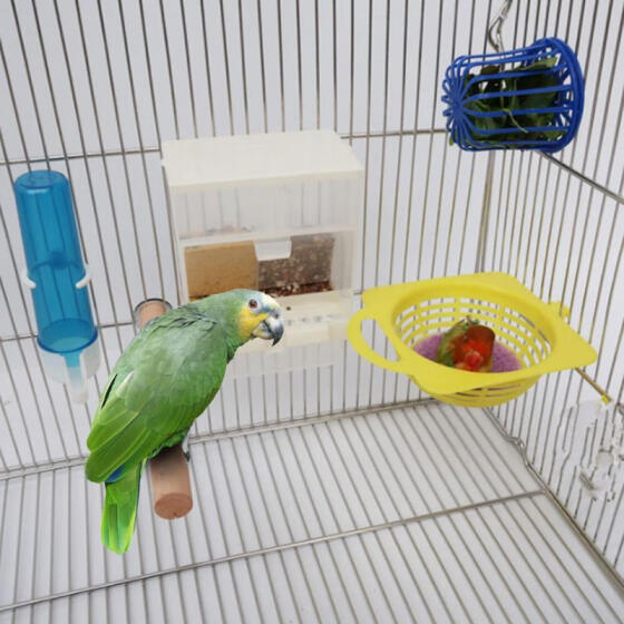 plastic bird cage