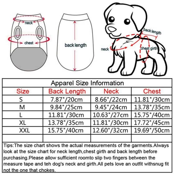 Chihuahua Puppy Size Chart