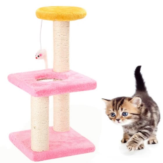 cat climbing toys