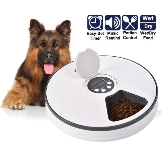 6 meal pet feeder