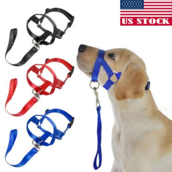 dog muzzle strap