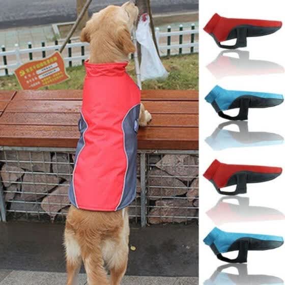 waterproof puppy coat