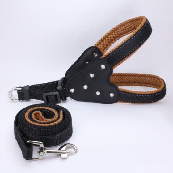 large dog collars and leads