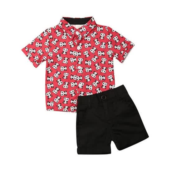 2pcs Toddler Kid Baby Boy Clothes Outfits Animal Printed Shirt Tops Shorts Pants