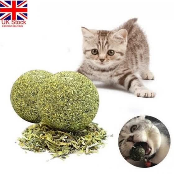 cat chew toys uk