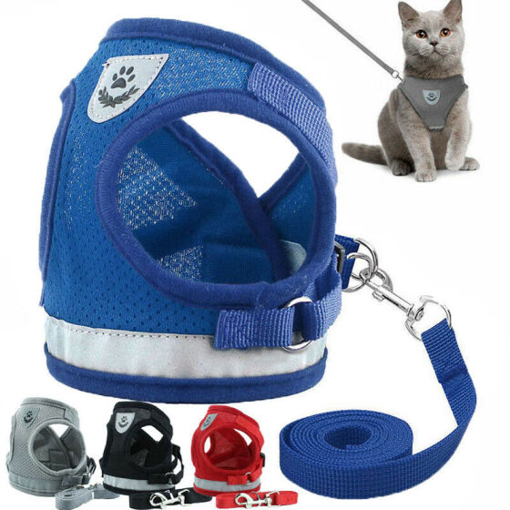 collar harness leash set