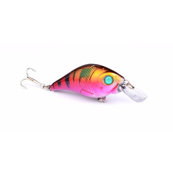 sea fishing bait online