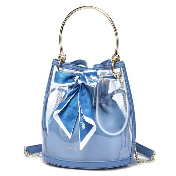 transparent ladies bag