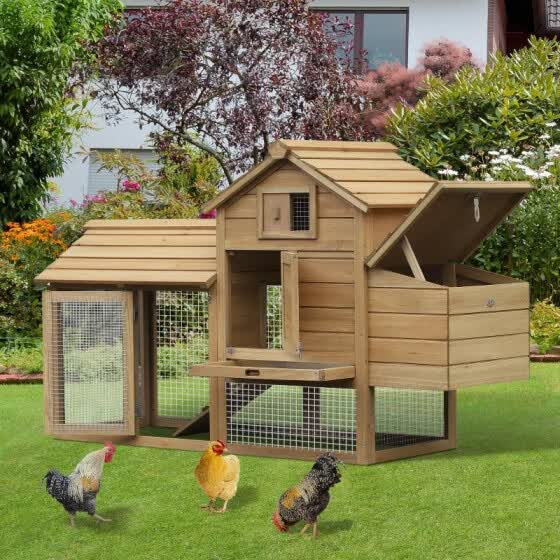 Shop Solid Wood Enclosed Outdoor Backyard Chicken Coop Kit With