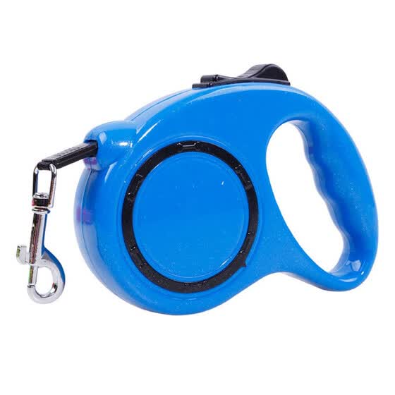 dog leads online
