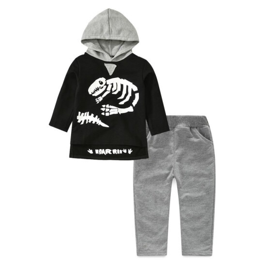 2Pcs Newborn Infant Baby Boy Girls Dinosaur Pattern Long Sleeve Hoodie Top Pants Clothing Set Fall Winter Outfit