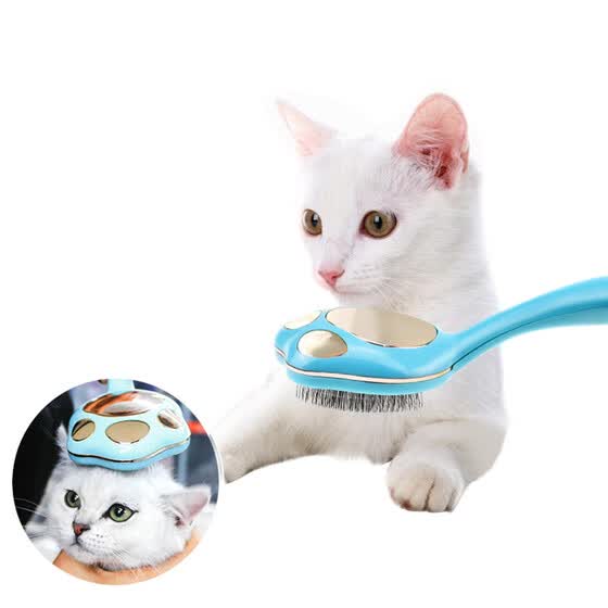 cat hair grooming tools
