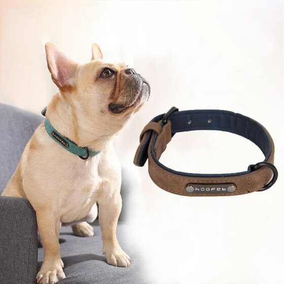 large dog accessories