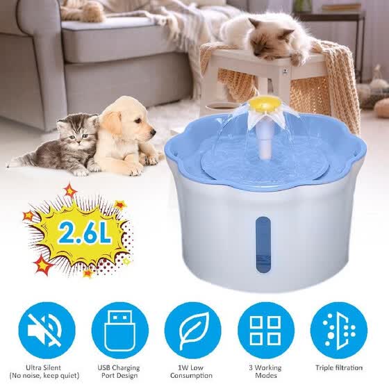Shop 2 6l Automatic Pet Water Fountain Drinking Bottle Electric