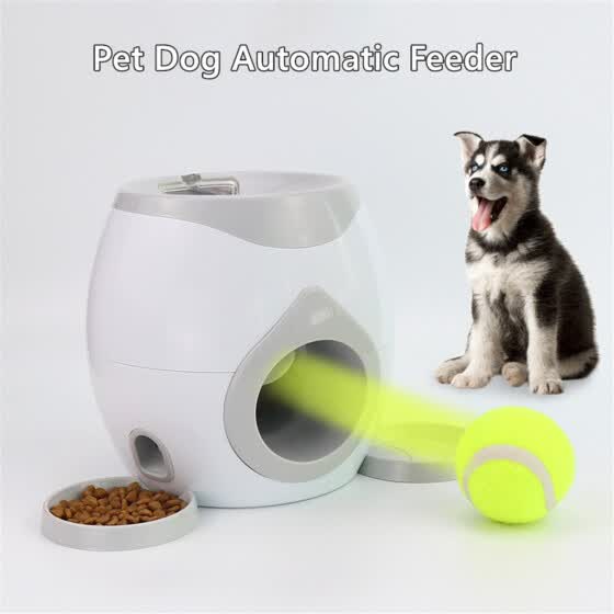 tennis ball machine for dogs