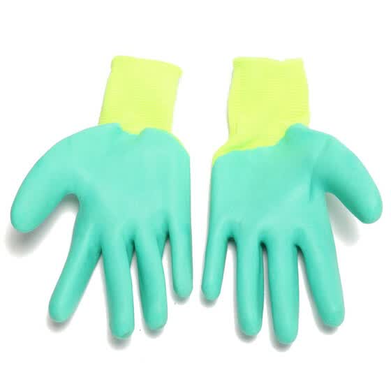 parrot training gloves